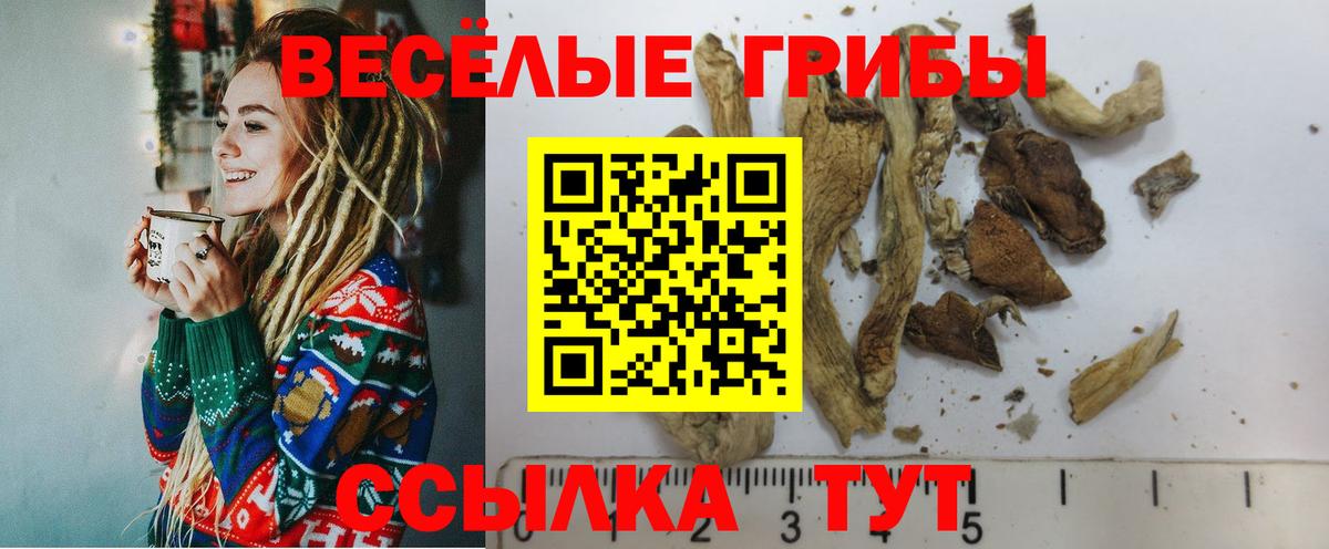 Галлюциногенные грибы прущие грибы  Псилоцибиновые грибы GOLDEN TEACHER  Гудермес  Вход с VPN 